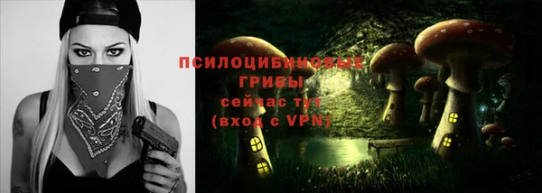 первитин Армянск