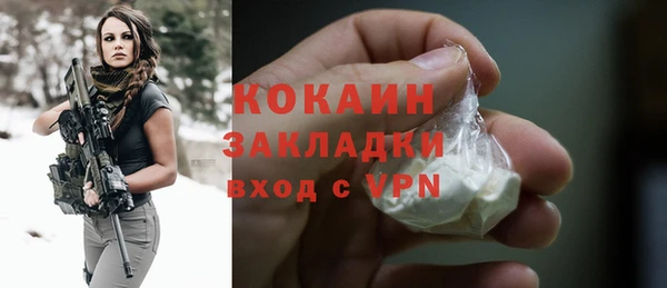 ПСИЛОЦИБИНОВЫЕ ГРИБЫ Аркадак