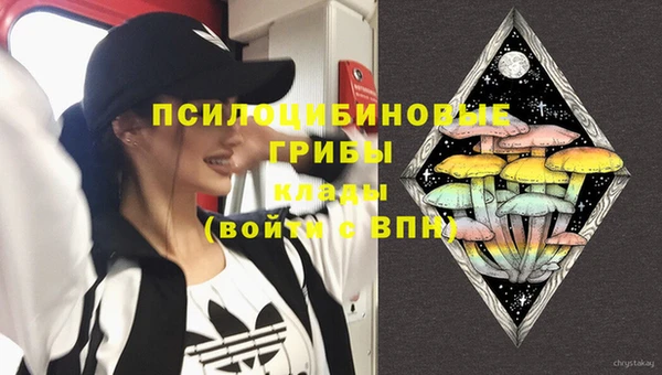 ПСИЛОЦИБИНОВЫЕ ГРИБЫ Аркадак