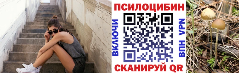 Псилоцибиновые грибы Psilocybine cubensis KRAKEN зеркало Балабаново